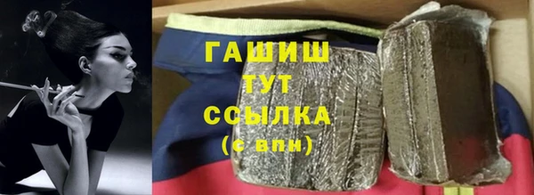 шишки Сатка