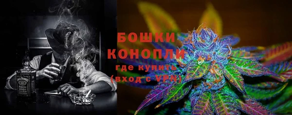 гидра Семилуки