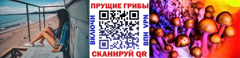 Галлюциногенные грибы Psilocybine cubensis  Кемь 